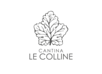 Cantina le Colline - Progettazione grafica Etichette Vini Tolentino Macerata Studio Grafico KBRUSH