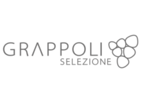 Grappoli Selezione Agenzia KBRUSH Siti Internet Tolentino Siti Web Macerata